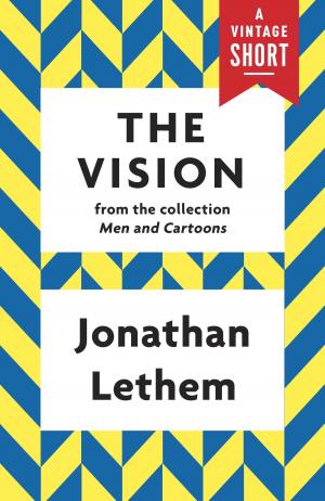 Cover of the book The Vision by Lauren Fox