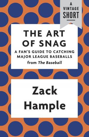 Cover of the book The Art of Snag by Joanna Rakoff