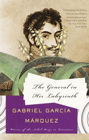 Cover of the book The General in His Labyrinth by W.S. Di Piero