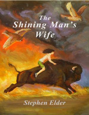 Cover of the book The Shining Man's Wife by Isa Adam