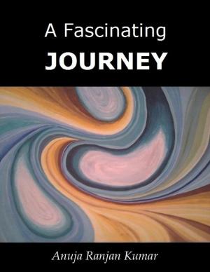 Cover of the book A Fascinating Journey by James Ferace
