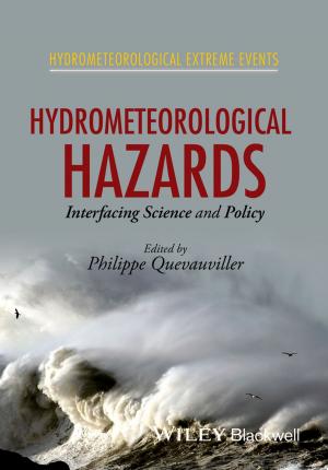 Cover of the book Hydrometeorological Hazards by Klaus Leopold, Siegfried Kaltenecker