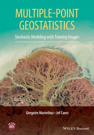 Cover of the book Multiple-point Geostatistics by Fabio Mencarelli, Pietro Tonutti