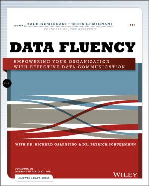 Cover of the book Data Fluency by Karen Sobel Lojeski