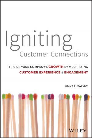 Cover of the book Igniting Customer Connections by Randi L. Derakhshani, Dariush Derakhshani