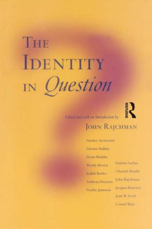 Cover of the book The Identity in Question by David Evans
