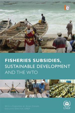 Cover of the book Fisheries Subsidies, Sustainable Development and the WTO by Angela K Smith, Jane Potter, Trudi Tate, Andrew Maunder