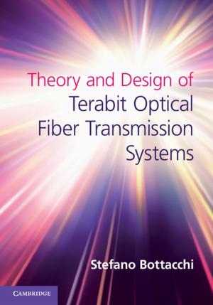 Cover of the book Theory and Design of Terabit Optical Fiber Transmission Systems by D. Soyini Madison