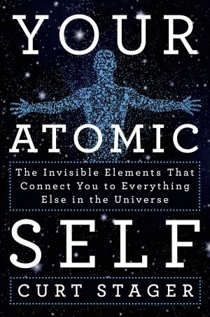 Cover of the book Your Atomic Self by Carlos Machado de Freitas, Marcelo Firpo Porto