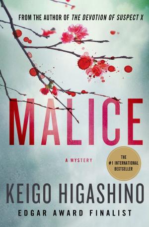 Cover of the book Malice by Jayne Evans