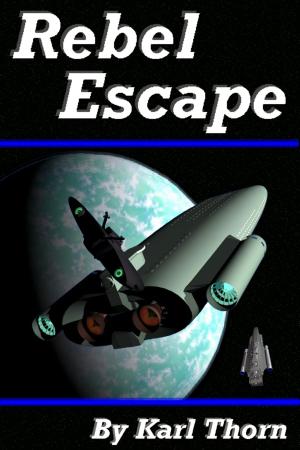 Book cover of Rebel Escape