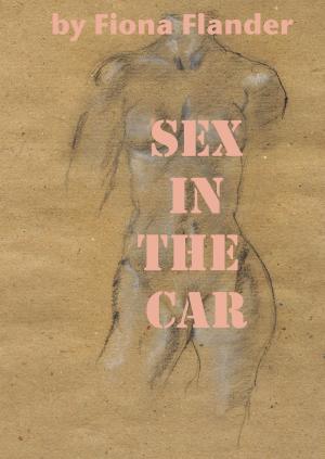 Cover of the book Sex In The Car by Fiona Flander