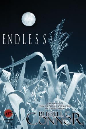 Book cover of Endless