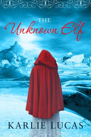 Cover of the book The Unknown Elf by Mary Gray, Cammie Larsen