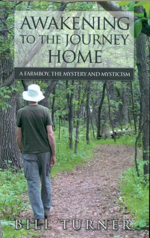 Cover of Awakening To The Journey Home: A Farmboy, The Mystery And Mysticism