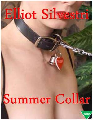 Cover of the book Summer Collar by Anna Segre, Gloria Pavoncello, Leone Paserman