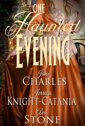 Cover of the book One Haunted Evening by majella sharkey