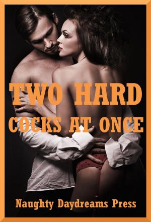 Cover of the book Two Hard Cocks at Once by Naughty Daydreams Press