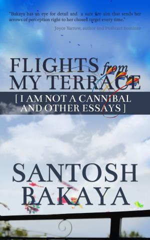 Book cover of Flights From My Terrace