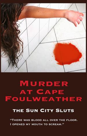 bigCover of the book Murder at Cape Foulweather by 
