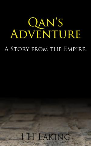 Cover of the book Qan's Adventure by Tsuyuki Arumaya