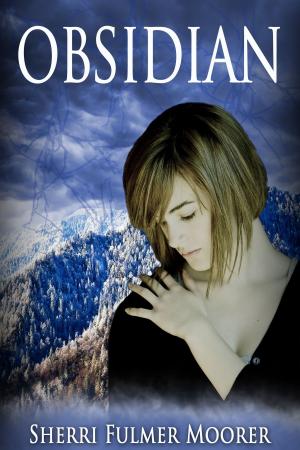 Cover of the book Obsidian (Book Two of The Tanger Falls Mystery) by Sherri Fulmer Moorer