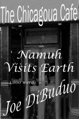 Book cover of Namuh Visits Earth
