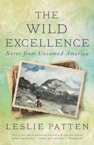 Book cover of The Wild Excellence: Notes from Untamed America