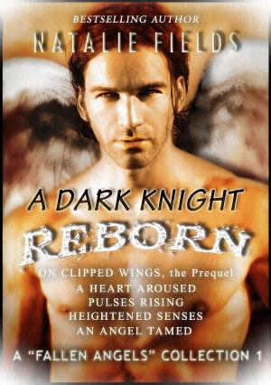 Book cover of A Dark Knight Reborn Complete Collection