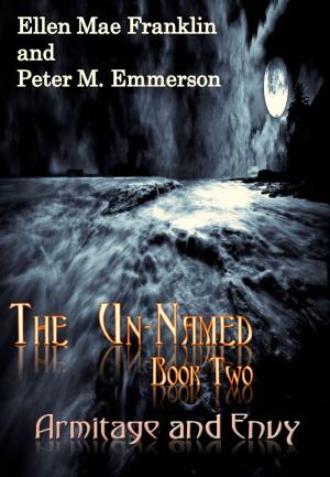 Book cover of Book 2 of The Un-Named Chronicles: Armitage and Envy