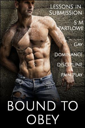 Book cover of Lessons in Submission: Bound to Obey (Gay, Dominance, Discipline, Pain Play)