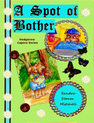 Cover of the book A Spot of Bother(Children's Book ages 2-8) by Héctor M Curiel