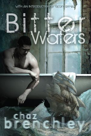 Cover of the book Bitter Waters by R.S. Rowe