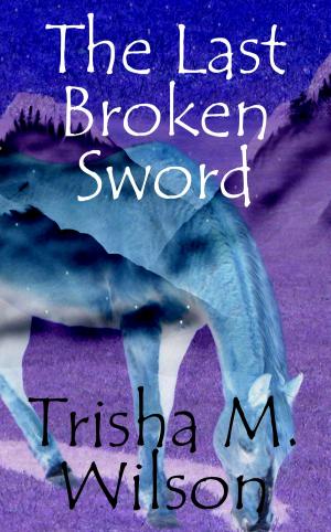 Cover of the book The Last Broken Sword by Trisha M. Wilson