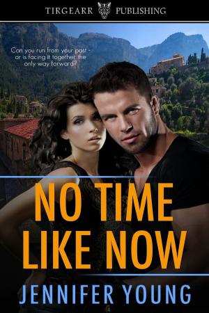 Book cover of No Time Like Now