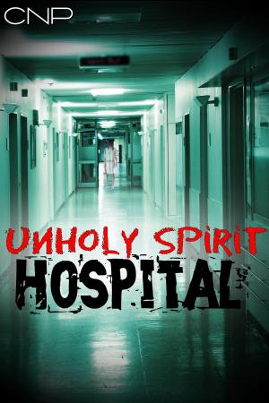 Book cover of Unholy Spirit Hospital