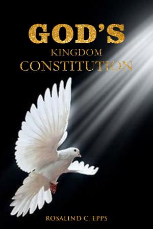 Cover of the book God's Kingdom Constitution by Daniel Kolenda