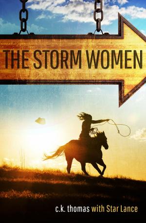 Book cover of The Storm Women