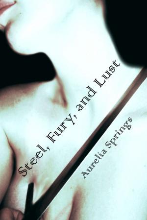 Cover of the book Steel, Fury, and Lust by Christine d'Abo