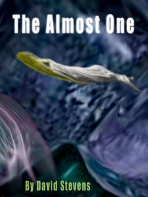 Book cover of The Almost One