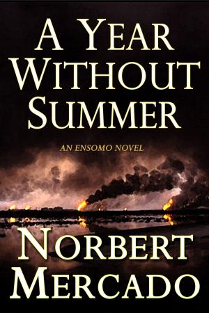 Cover of the book A Year Without Summer by Donna M. Young