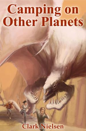 Cover of the book Camping on Other Planets by Stephen Arseneault