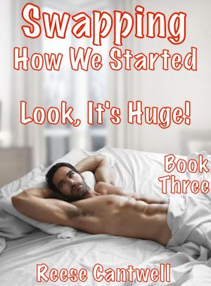 Cover of the book Swapping: How We Started: Look, It's Huge!: Book Three by Blaire Harris