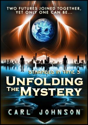 bigCover of the book Unfolding The Mystery: Stranded in Time 3 by 