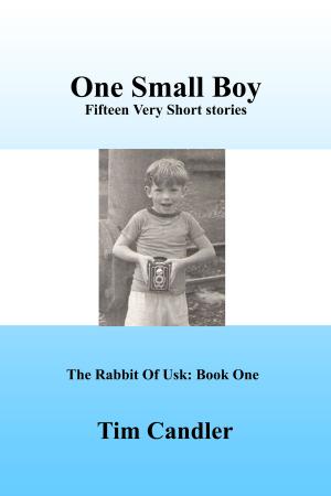 Cover of One Small Boy