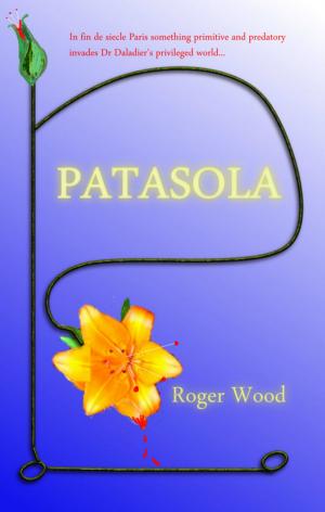 Cover of the book Patasola by Devon Ashley