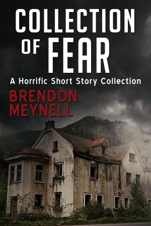 bigCover of the book Collection of Fear: A horrific short story collection by 