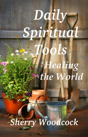 Cover of Daily Spiritual Tools, Healing the World