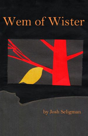 Cover of the book Wem of Wister by Timothy Gawne