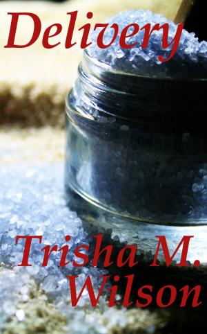 Cover of the book Delivery by Trisha M. Wilson